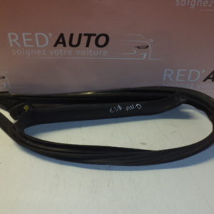 JOINT ( CAOUTCHOUC ) DE PORTE AVANT DROIT POUR MERCEDES CLASSE CLS W219